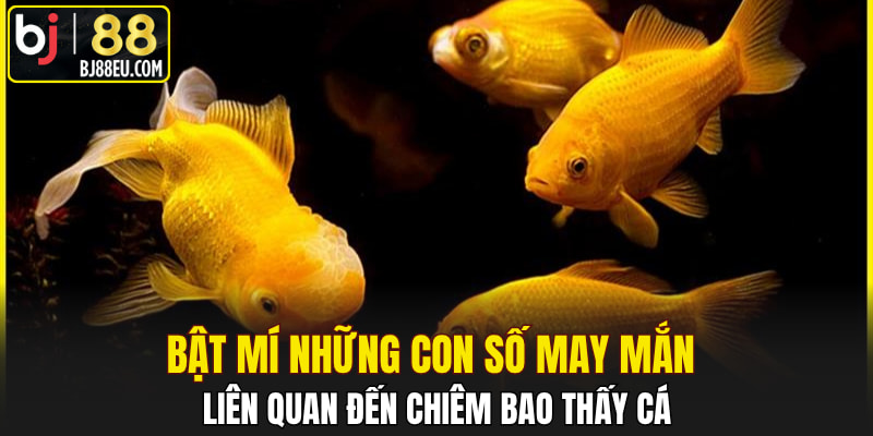 Mơ Thấy Cá Có Ý Nghĩa Gì? Đây Là Điềm Lành Hay Dấu Hiệu Dữ? 4 Bật mí những con số may mắn liên quan đến chiêm bao thấy cá