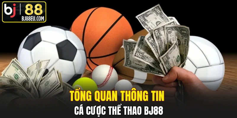 Cá Cược Thể Thao BJ88 - Khám Phá Thông Tin Chi Tiết 1 Tổng quan thông tin cá cược thể thao BJ88